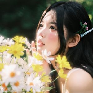 梁淼淼