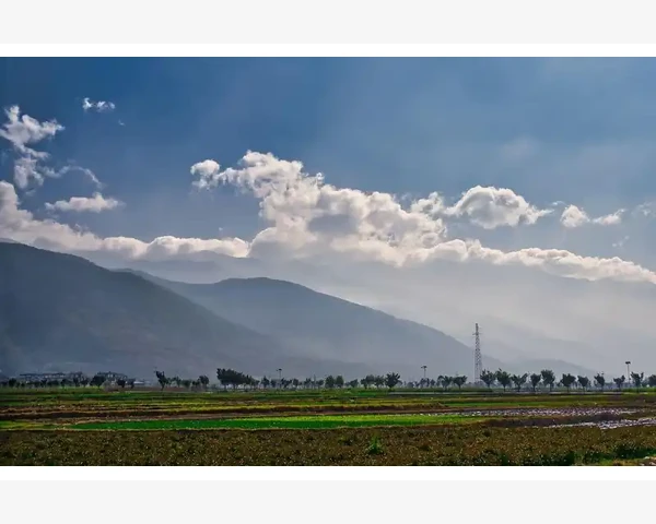 化痰散结，理气活血，中医的神奇力量